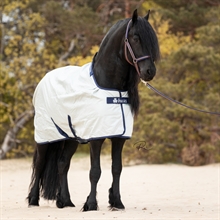 Bucas Power Turnout Light Big Neck